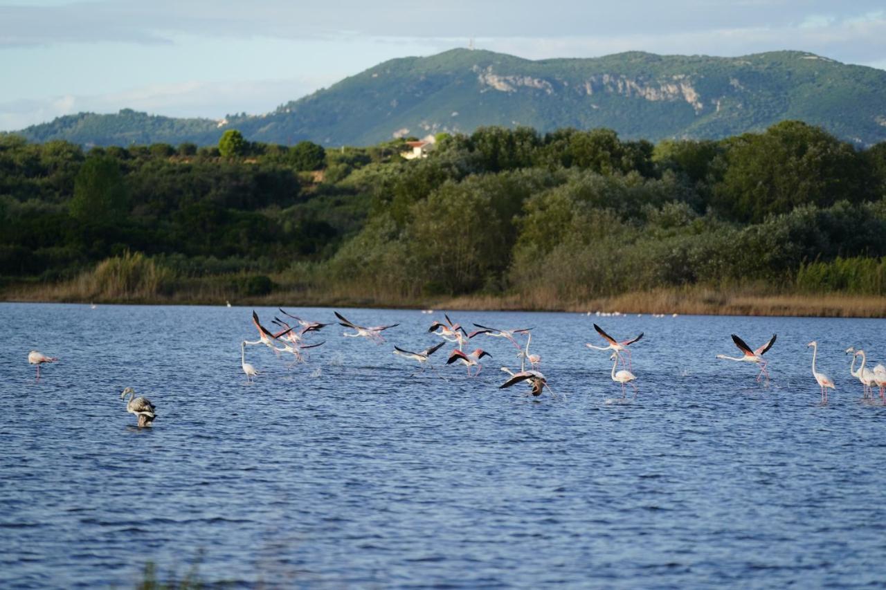 Stefanias Appartments Ágios Matthaíos Buitenkant foto